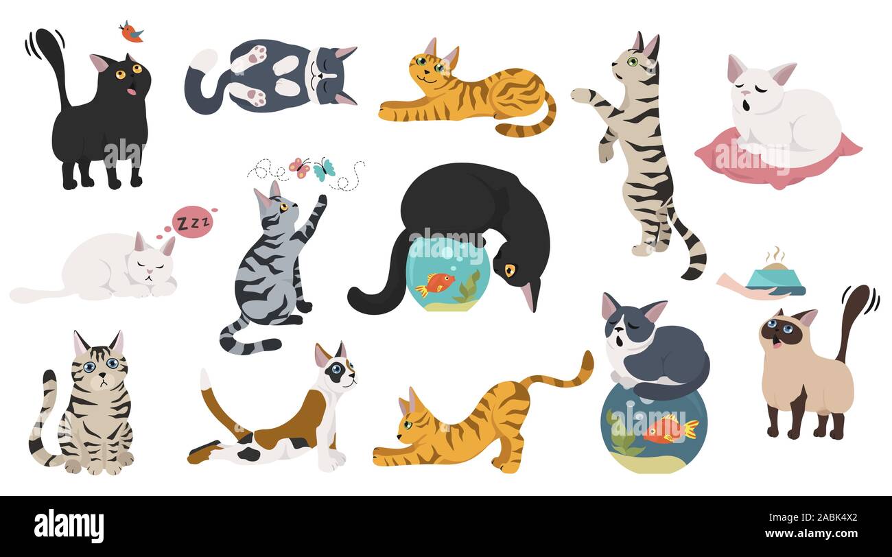 Cartoon cat characters collection. Different cat`s poses, yoga and emotions set. Flat color simple style design. Vector illustration Stock Vector